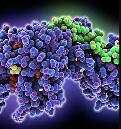 neoantigen discovery