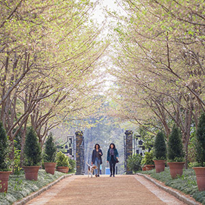 Two people walking in Duke Gardens